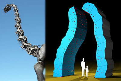 Roc&oacute;dromo (muestra una estructura similar a la de la columna vertebral)
